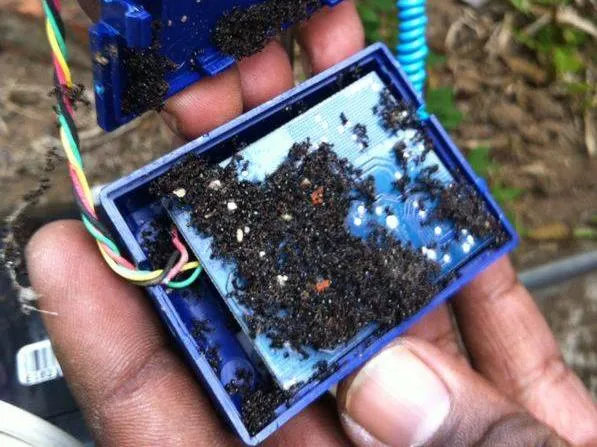 Safe Operating Procedure – Sliding Gate 7 Insect infestation in electronic control