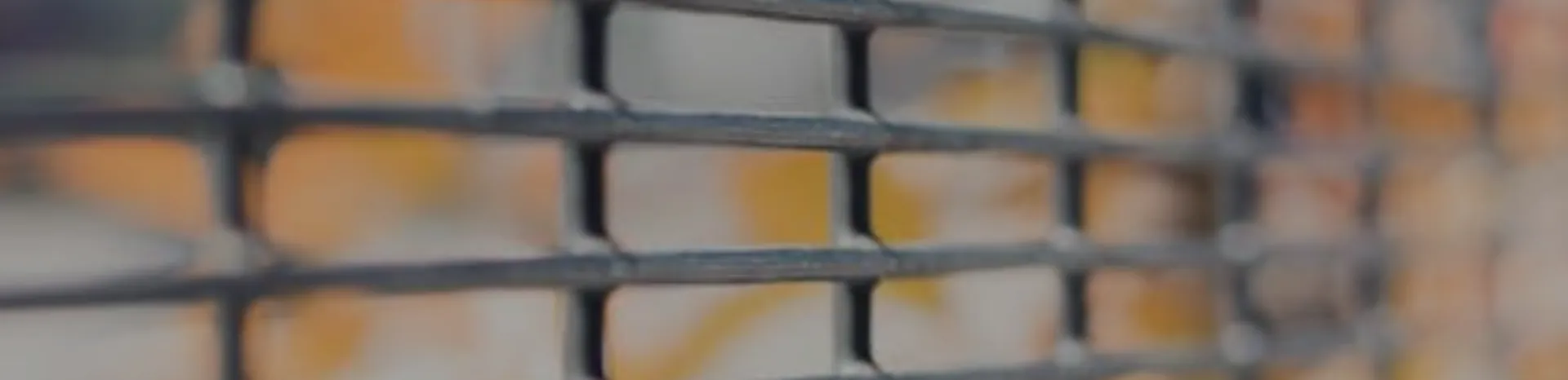 358 anti-climb mesh fencing