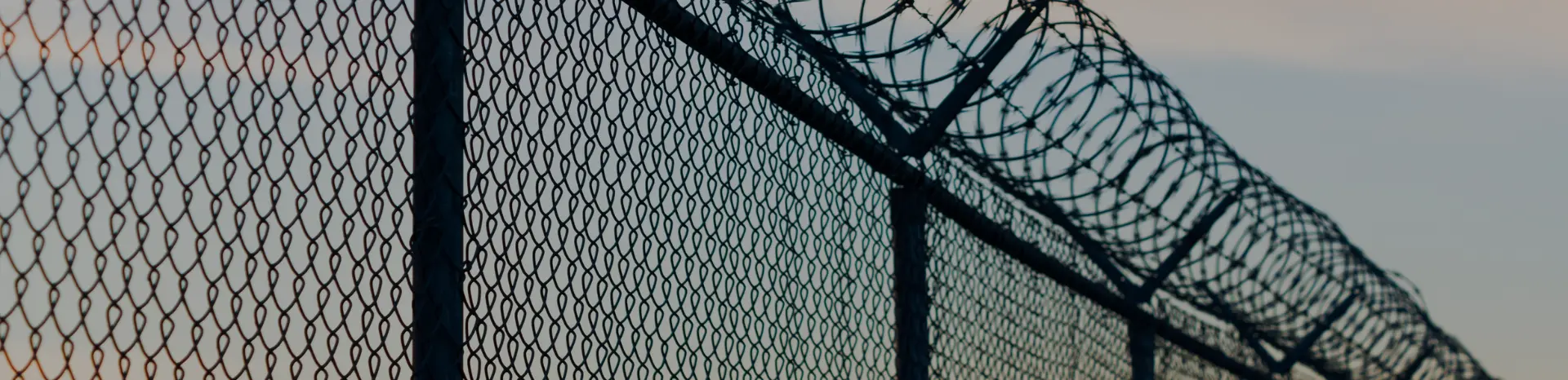 Chainwire fencing